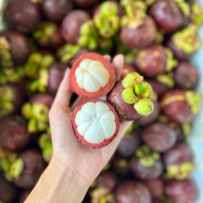 Măng Cụt Thái Lan