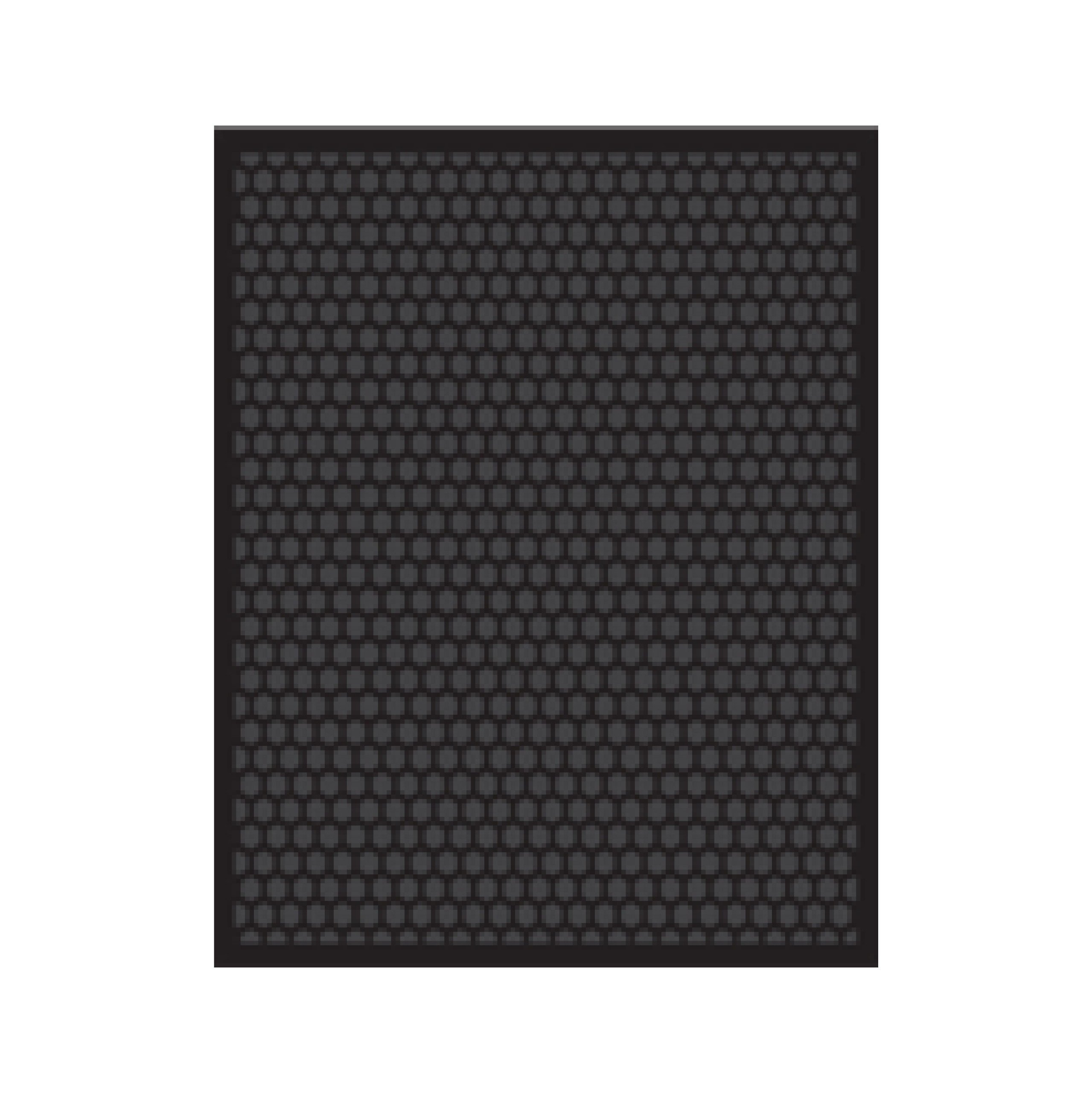 Coway AP-1019C Air Filter