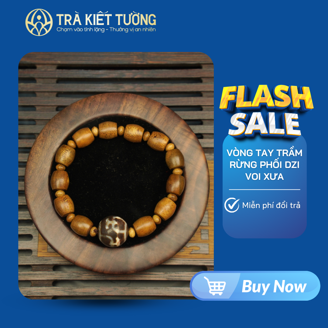 VÒNG TAY TRẦM RỪNG PHỐI DZI VOI XƯA