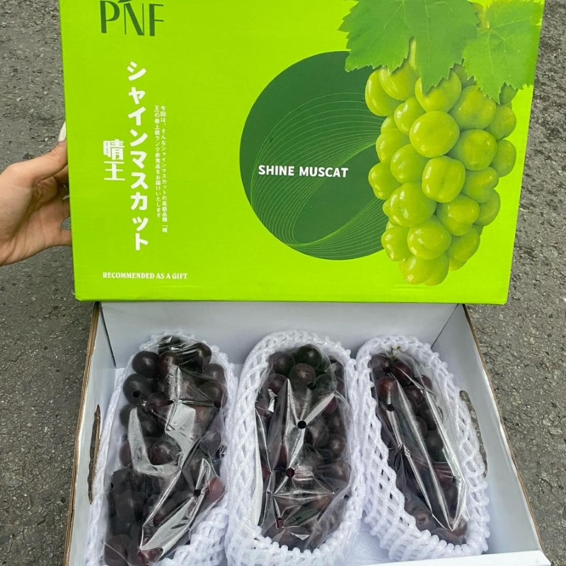 Nho Mẫu Đơn Đen (PNF)_thumbnail_2