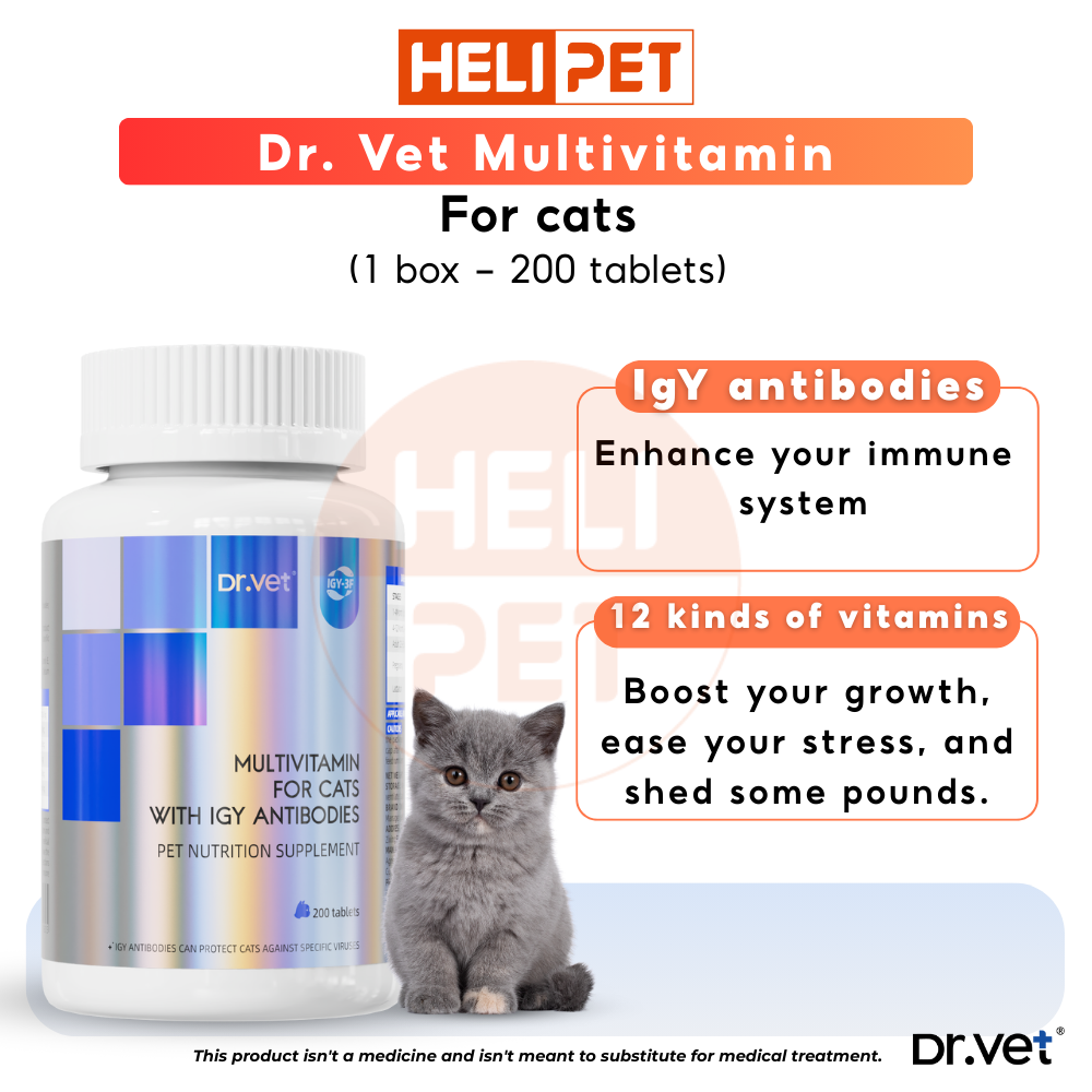 DR.VET Multivitamin for Cats with IGY Antibodies (200 tablets)_thumbnail_2