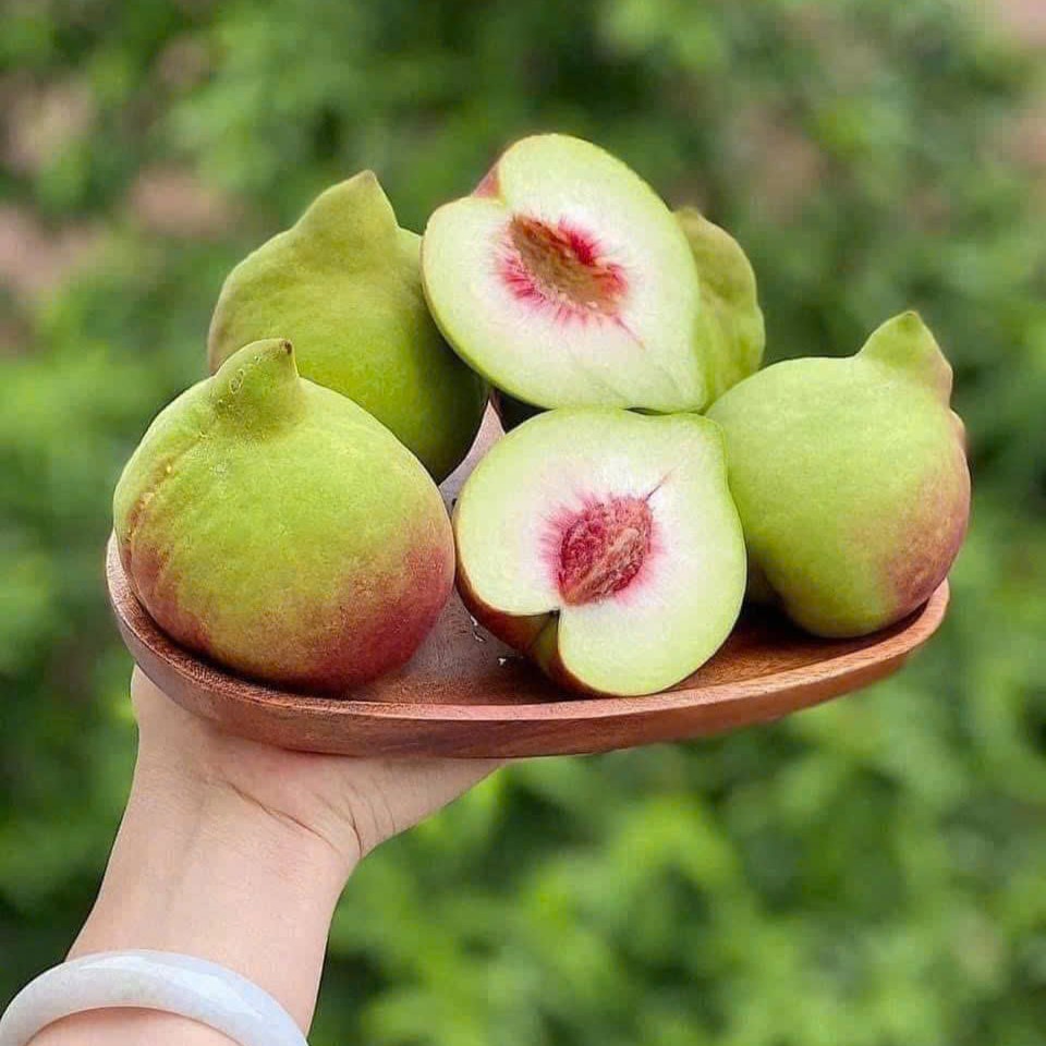 Đào Mỏ Quạ