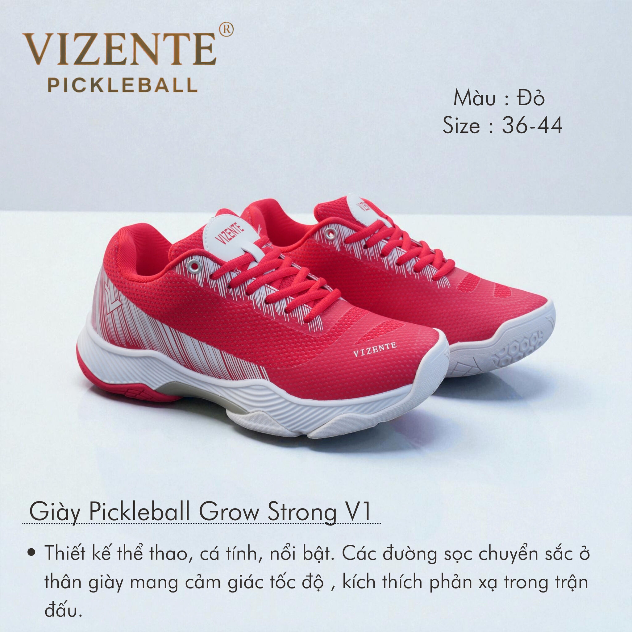 Giầy thể thao Pickcleball VIZENTE GROW STRONG
