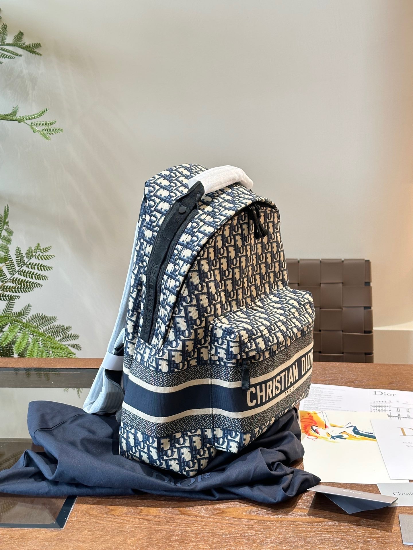 Balo Dior Oblique họa tiết monogram_thumbnail_3