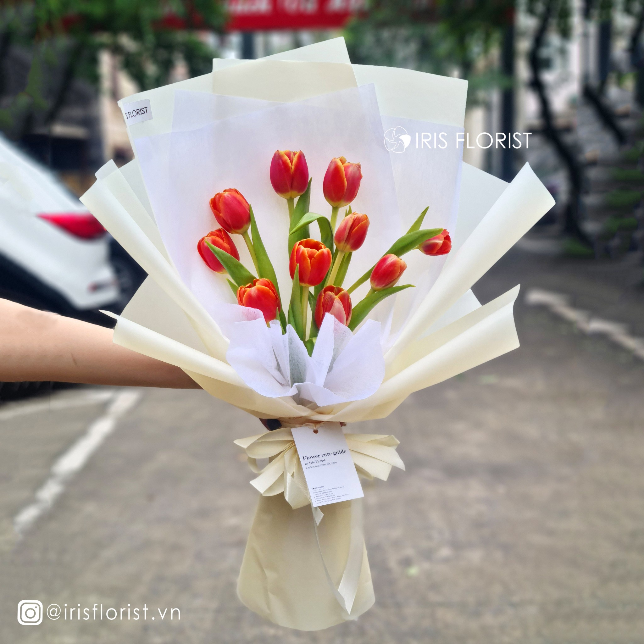 Bó hoa Tulip cam size M