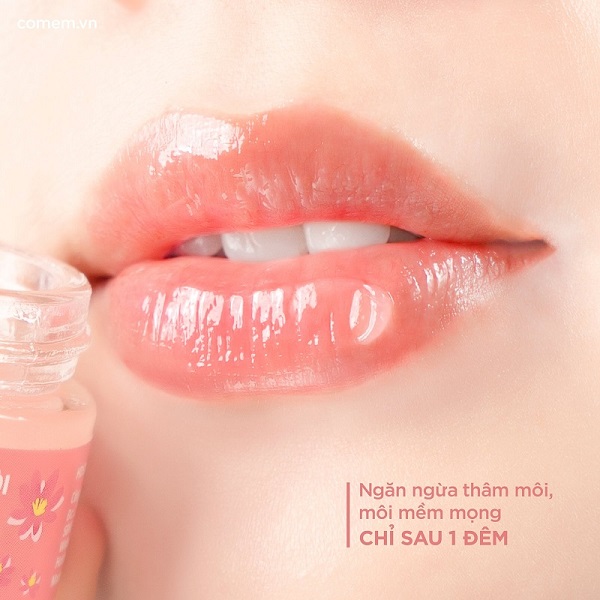 Thành phần lành tính của mặt nạ ngủ Môi Hồng