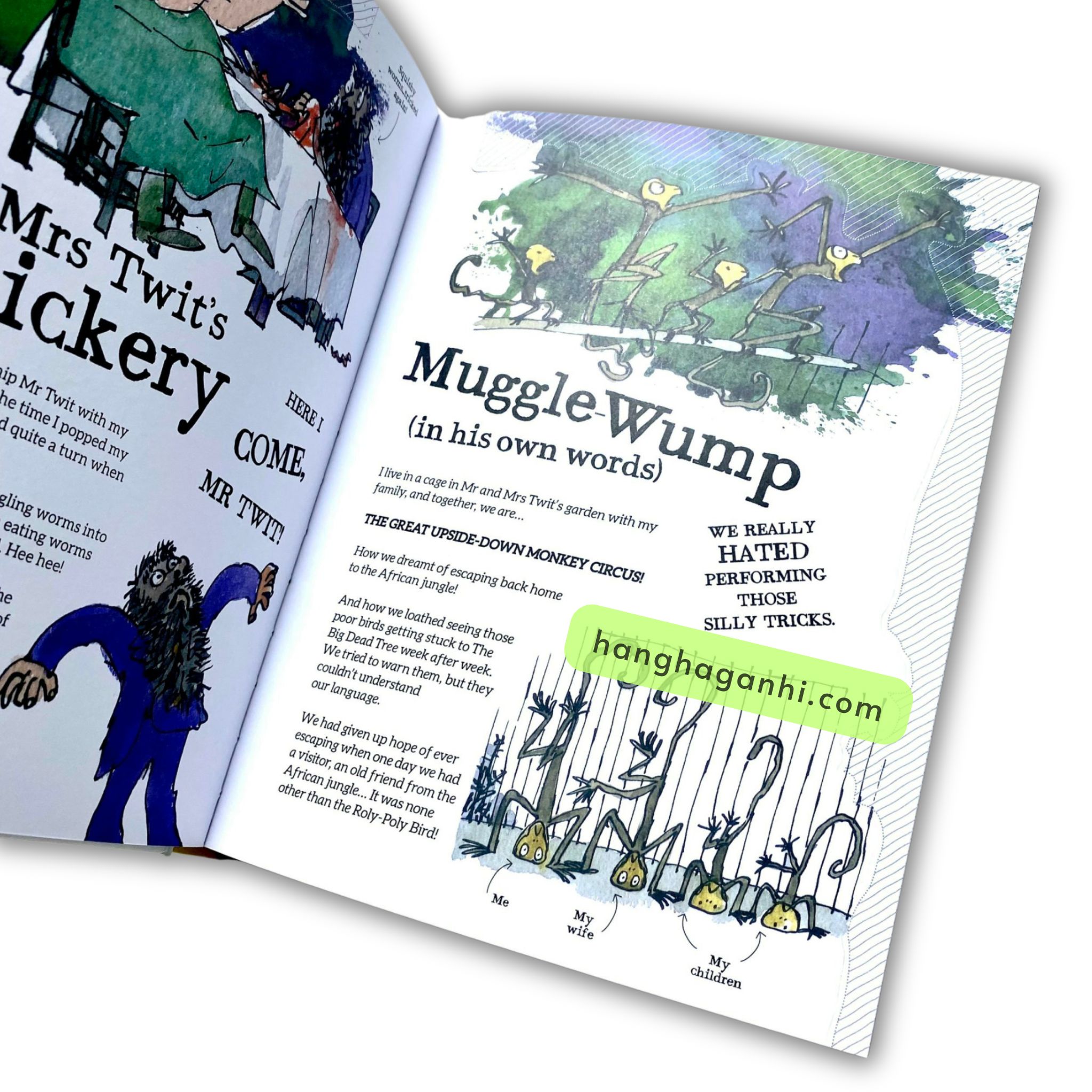 Roald Dahl's 2 books Bundle Beastly Brutes & Heroic Human Beans & Never Grow Up_thumbnail_5