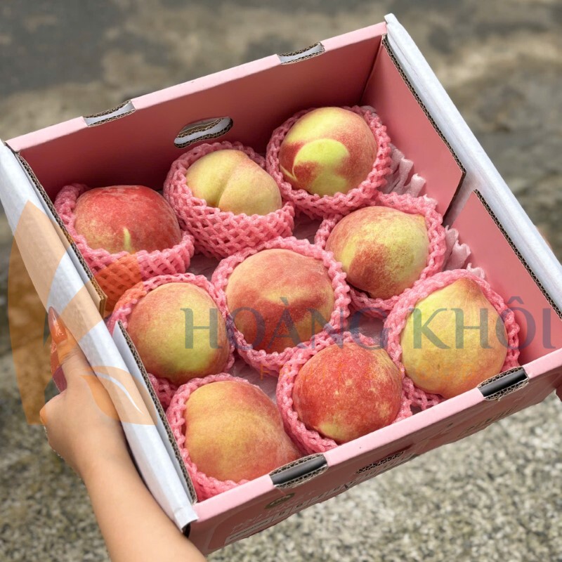 Đào Tuyết Lệ Giang_thumbnail_3