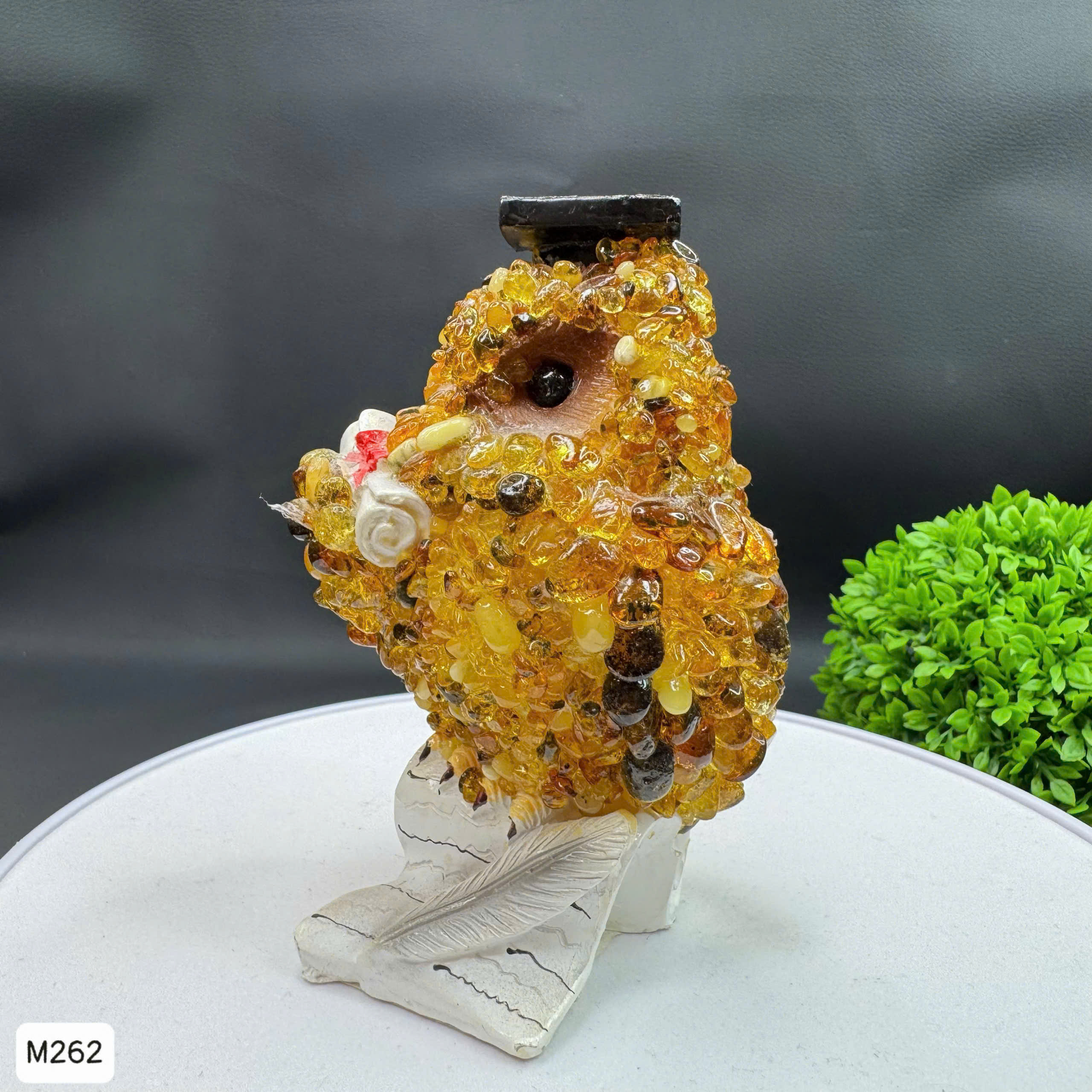 Cú Mèo Học Đường Hổ Phách Tự Nhiên - M262_thumbnail_2