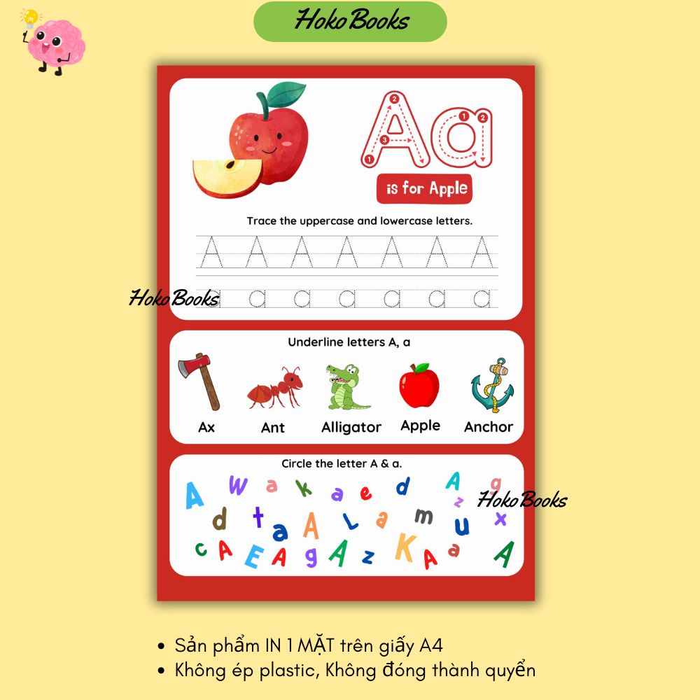 HL16 Học liệu nhận biết bảng chữ cái Tiếng Anh Hokobooks_thumbnail_1