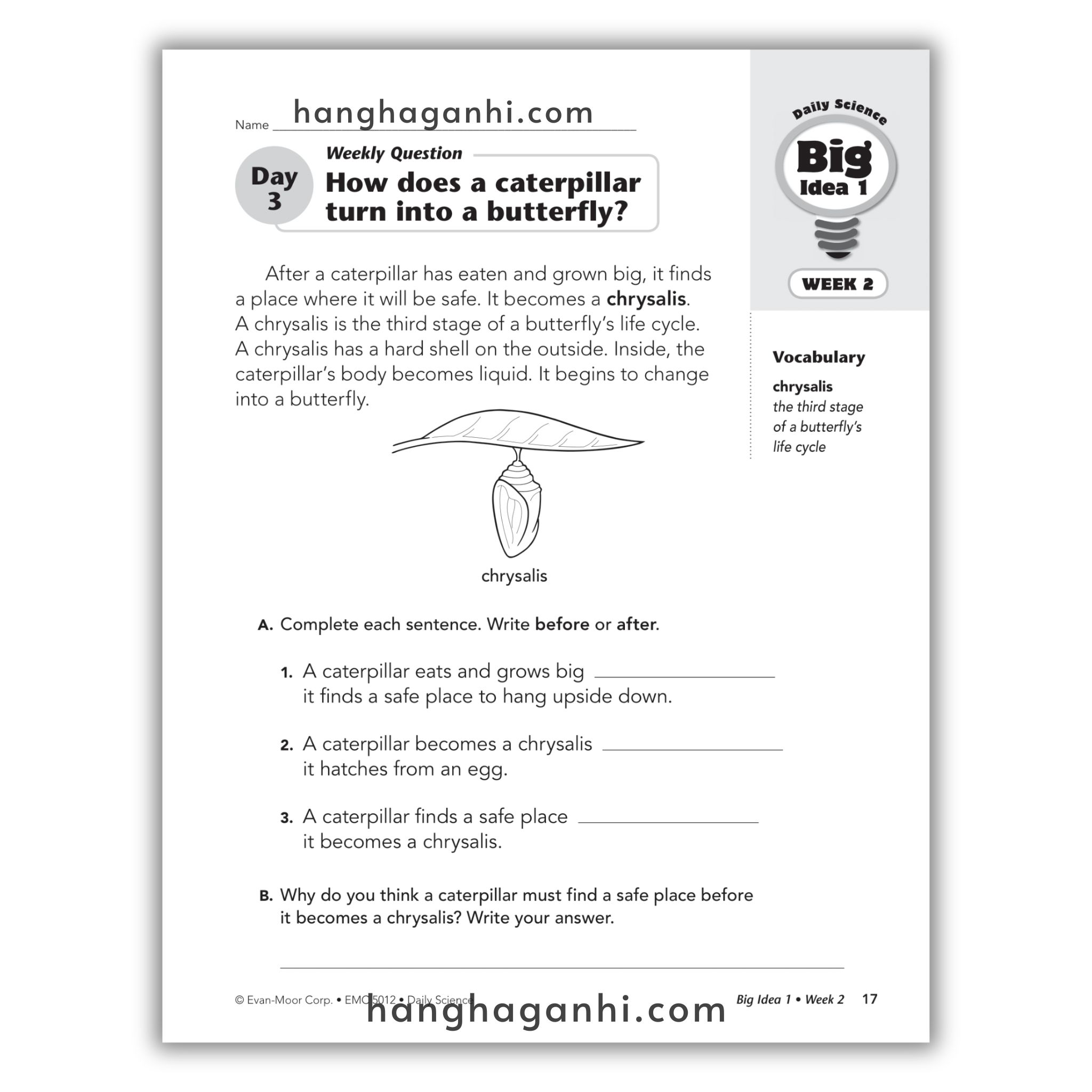 Daily Science Grade 2_thumbnail_13