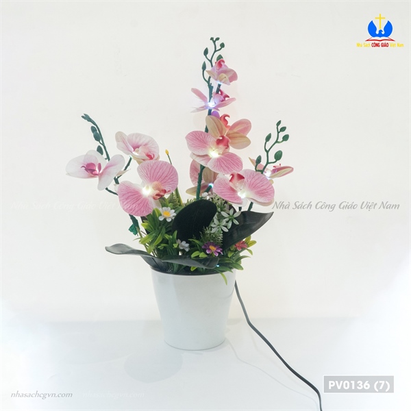 Hoa lan 3 nhánh_thumbnail_3