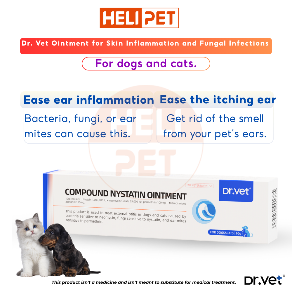 DR.VET Ointment for treating ear infections and fungal ear infections in dogs and cats.
