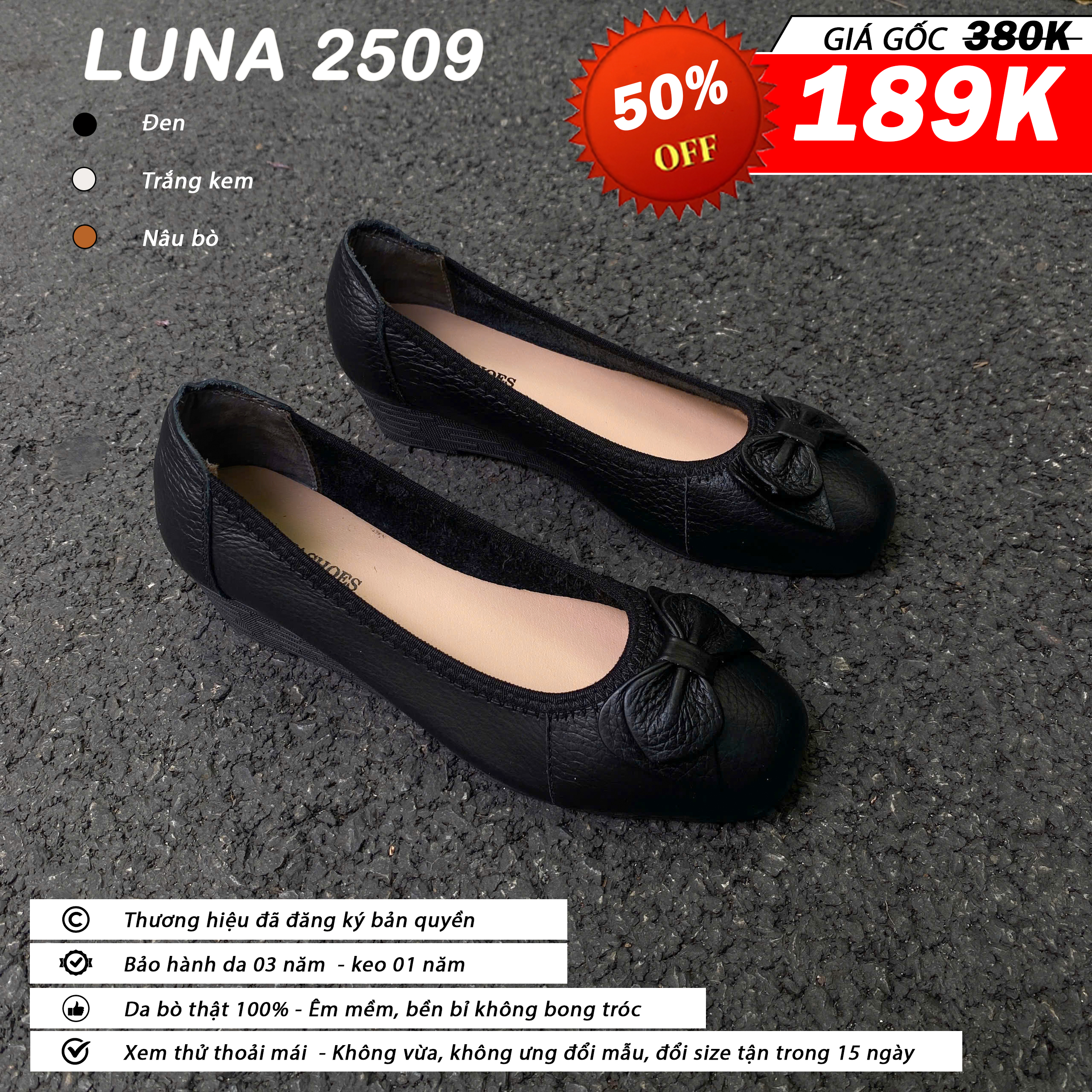 Luna 2509