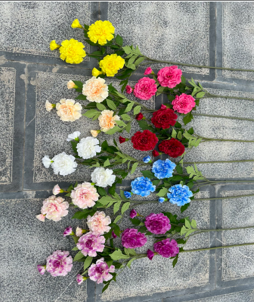 Mẫu đơn thân phấn