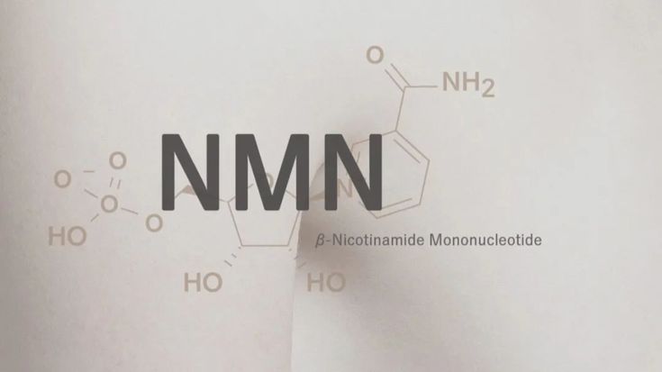 Vì sao NMN được quan tâm trong hỗ trợ điều hòa nội tiết