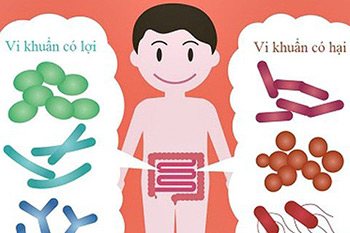 Con em thoát khỏi táo bón một cách thần kỳ nhờ bào tử lợi khuẩn Preg-Mom