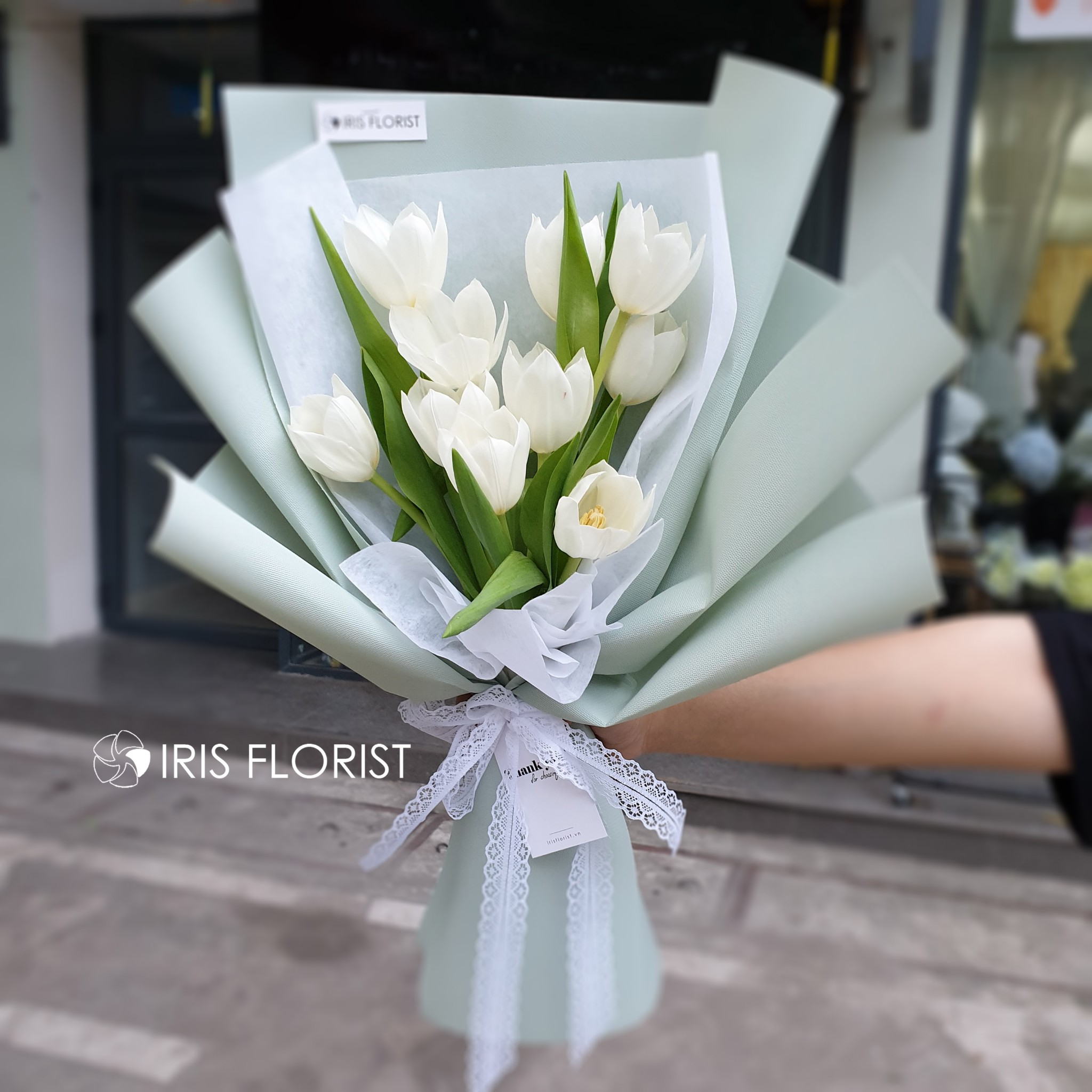 Tulip Trắng - Size M (10B)