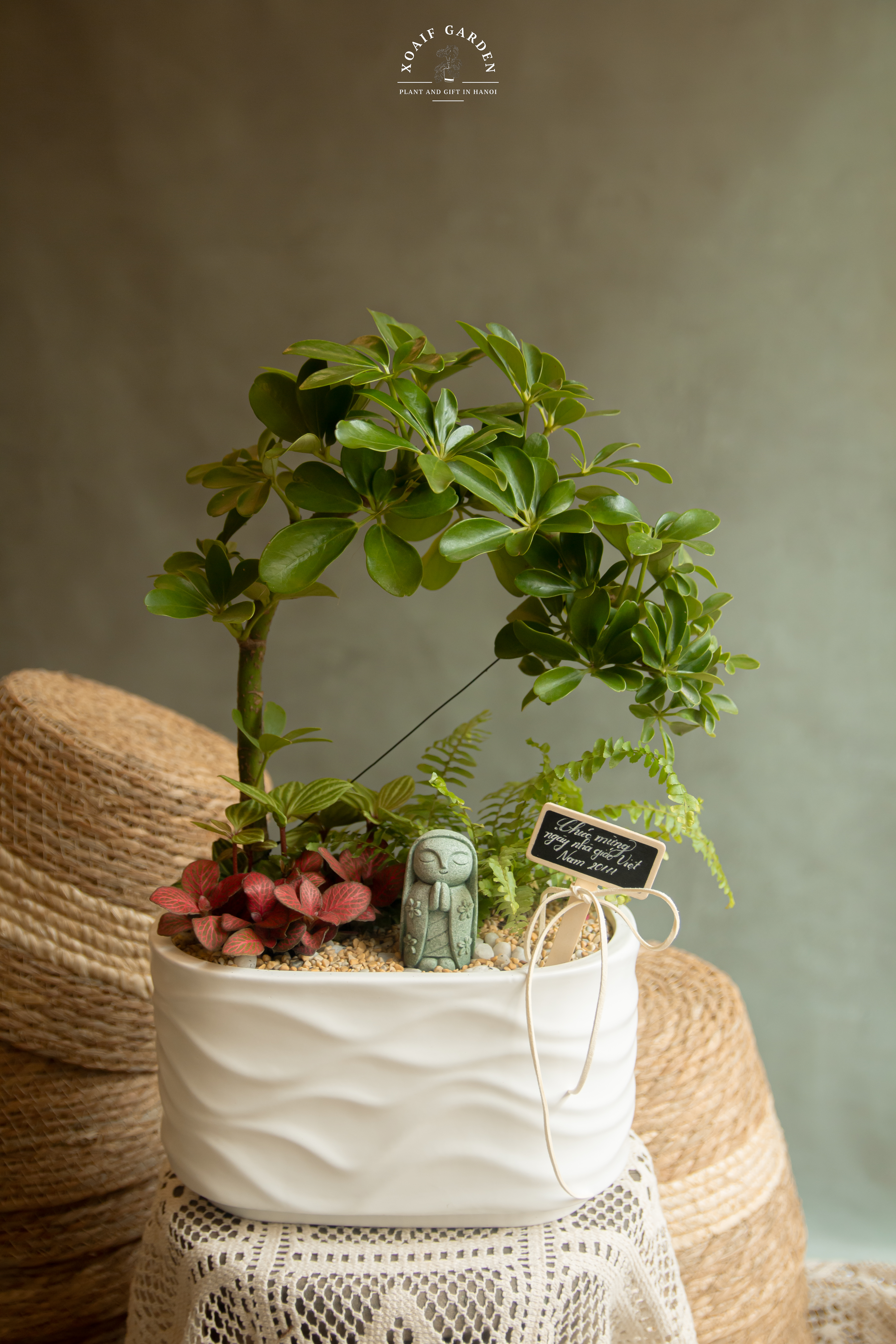 SET MIX PHONG THỦY NGŨ GIA BÌ BONSAI