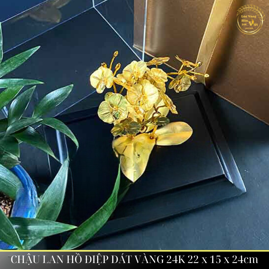 CHẬU LAN HỒ ĐIỆP DÁT VÀNG 24K 22x15x24cm_thumbnail_6