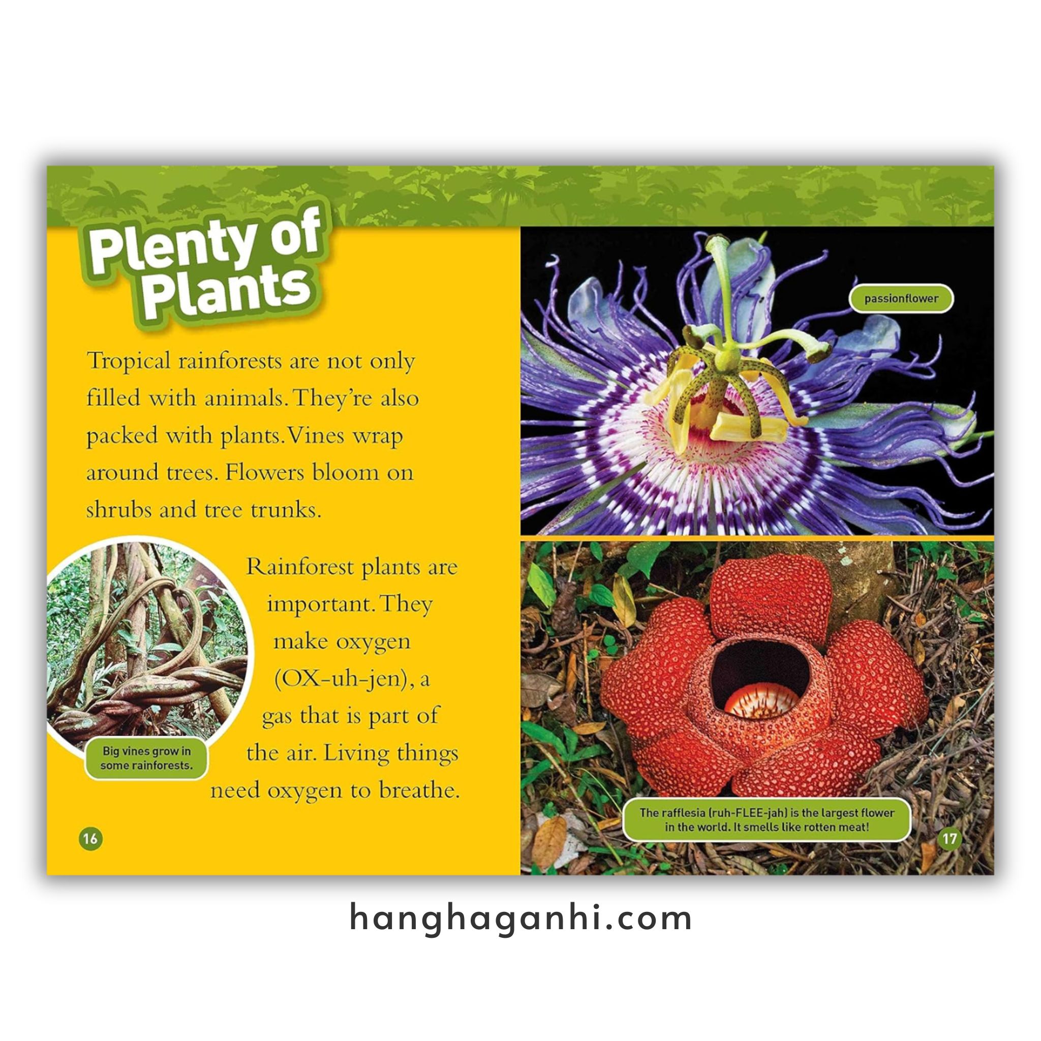 Bộ 41 cuốn National Geographic Kids level 2 - sách Khoa học tiếng Anh nhập khẩu, nguyên seal_thumbnail_15