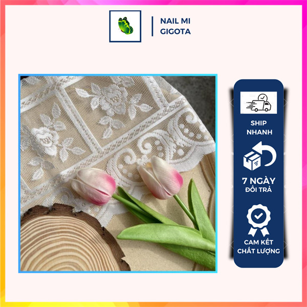 Tấm ren chụp ảnh