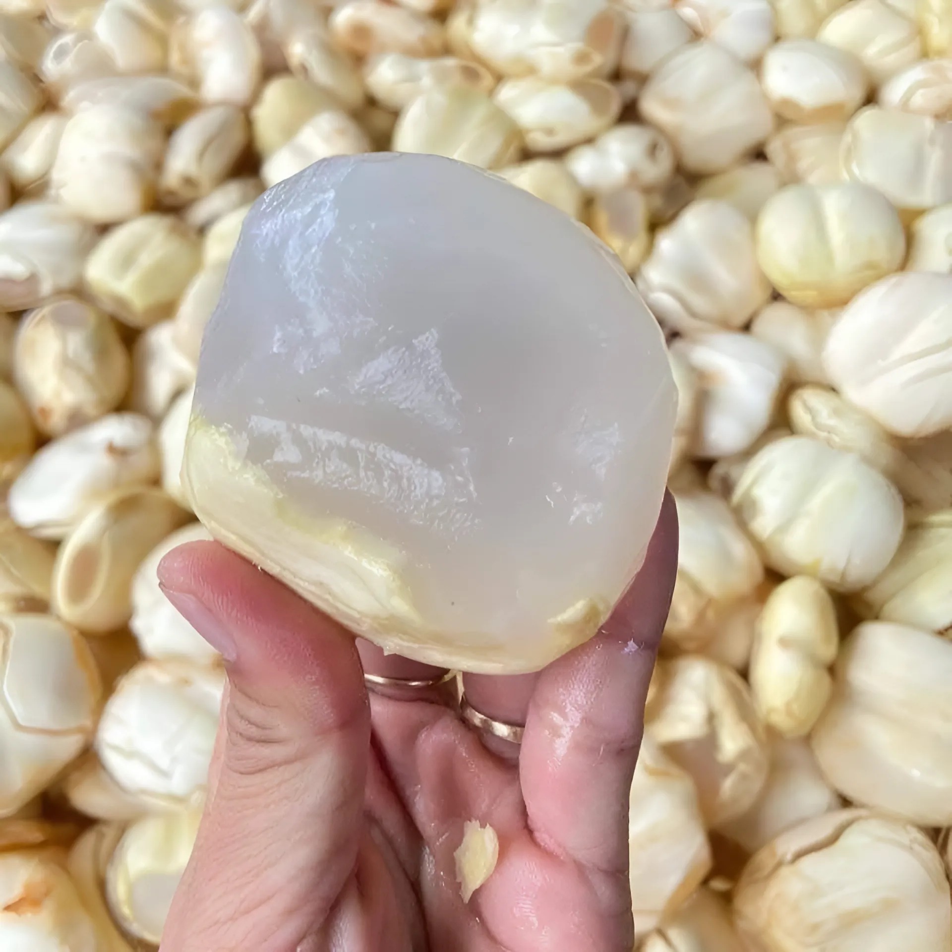Thốt Nốt Tươi_thumbnail_1