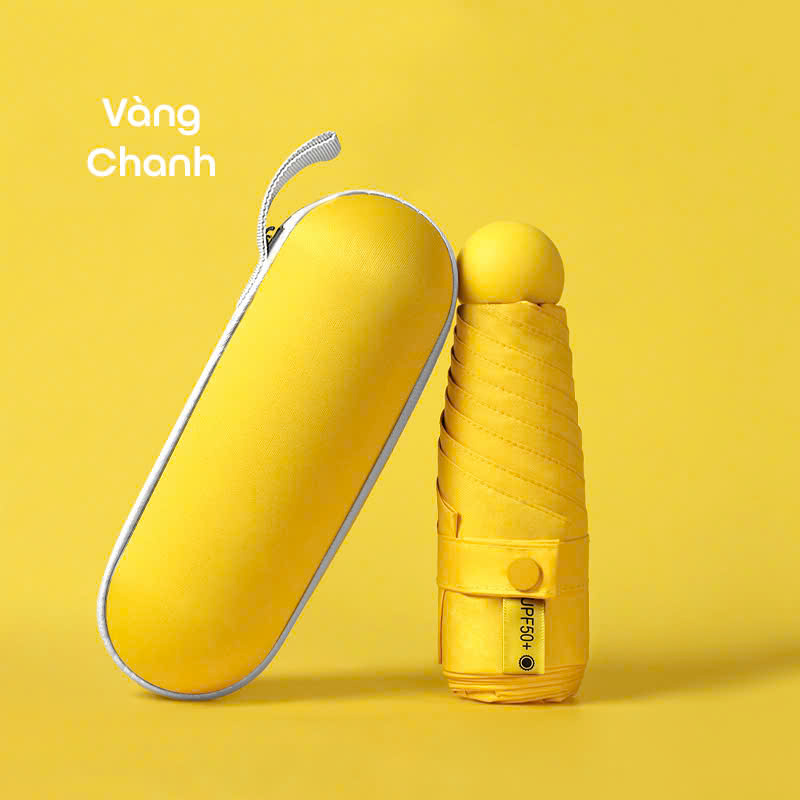 DÙ MINI_thumbnail_17