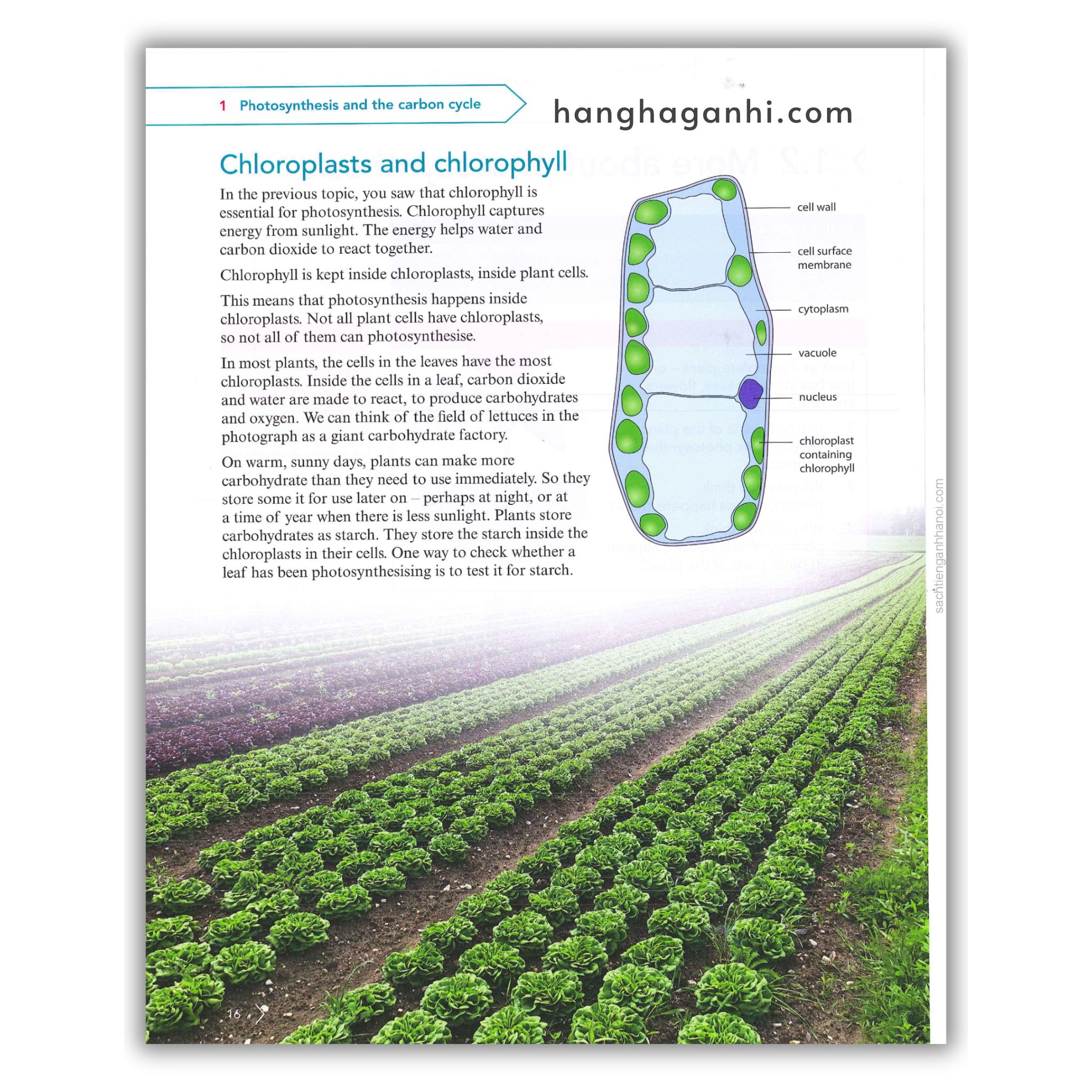 Cambridge Level 9 Lower Secondary Science Learner’s Book 2nd Edition 2021_thumbnail_8