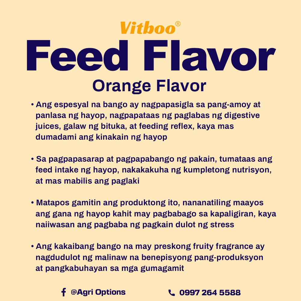 Vitboo Feed Flavor - Orange Flavor_thumbnail_2
