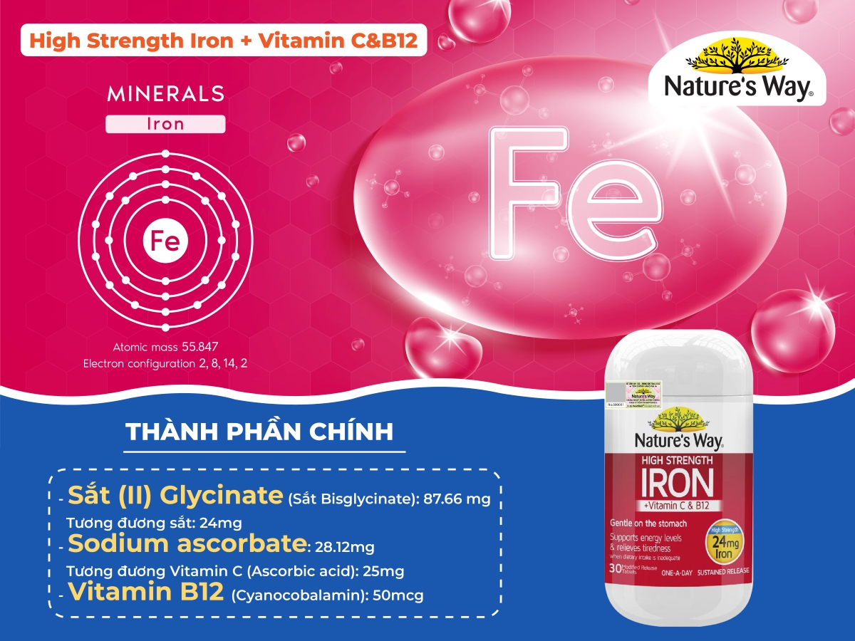 Nature's Way High Strength Iron+Vitamin C & B12 (online)