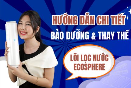 Hướng Dẫn Chi Tiết: Bảo Dưỡng và Thay Thế Lõi Lọc Nước Ecosphere