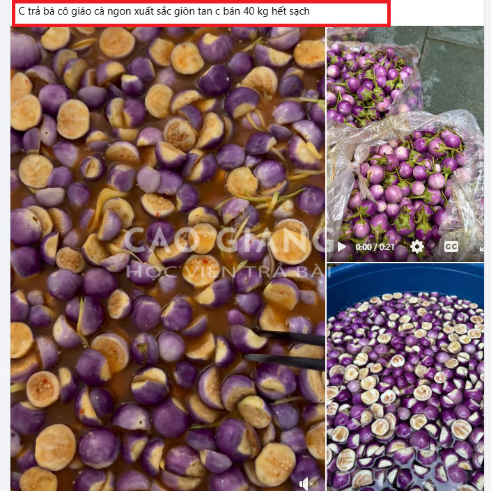 Lớp Cà Muối Xổi Kinh Doanh_thumbnail_10