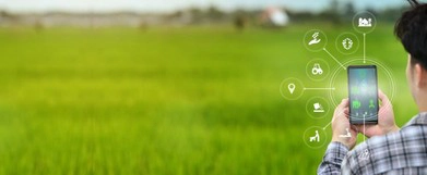 cropmax-img-ho-tro-truc-tuyen-24-7