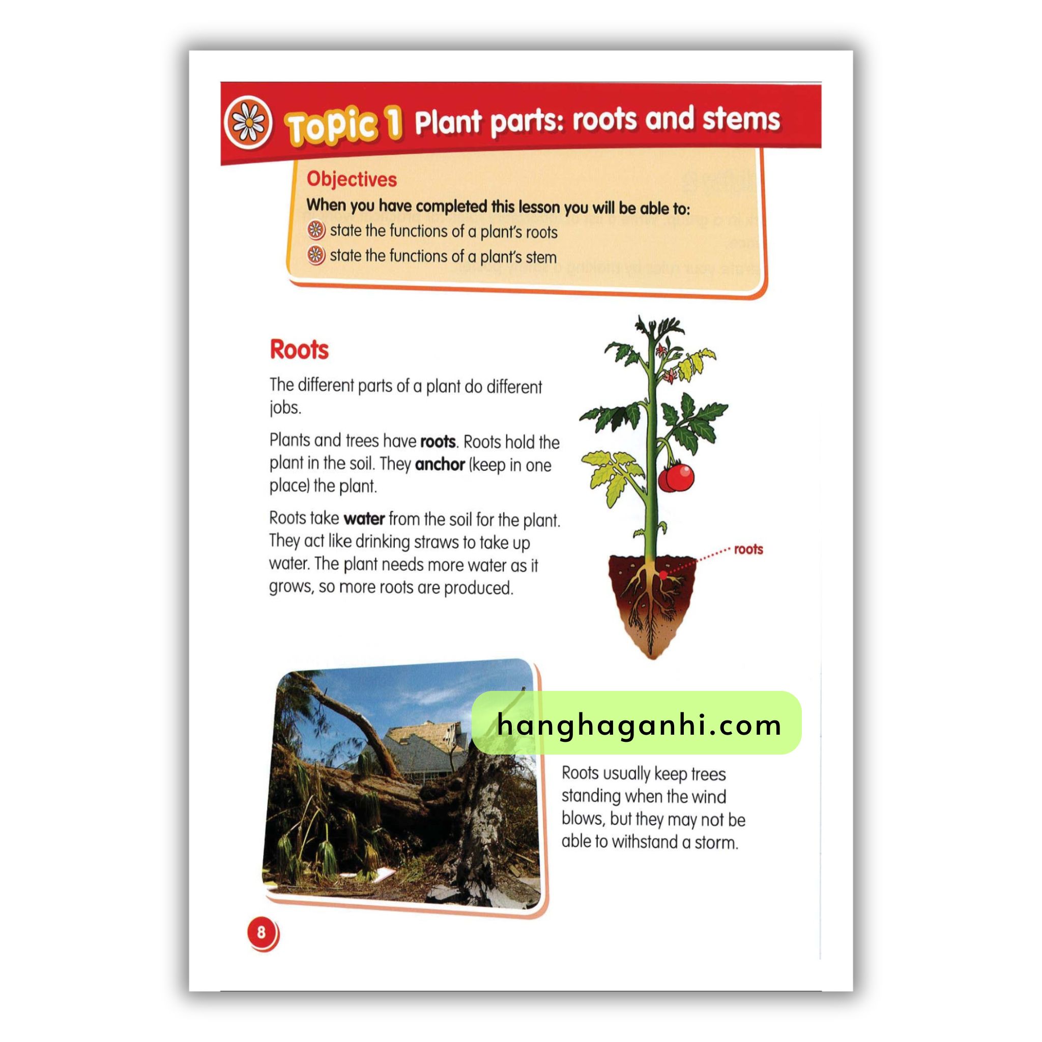 Macmillan Science 3 Pupil’s book_thumbnail_11