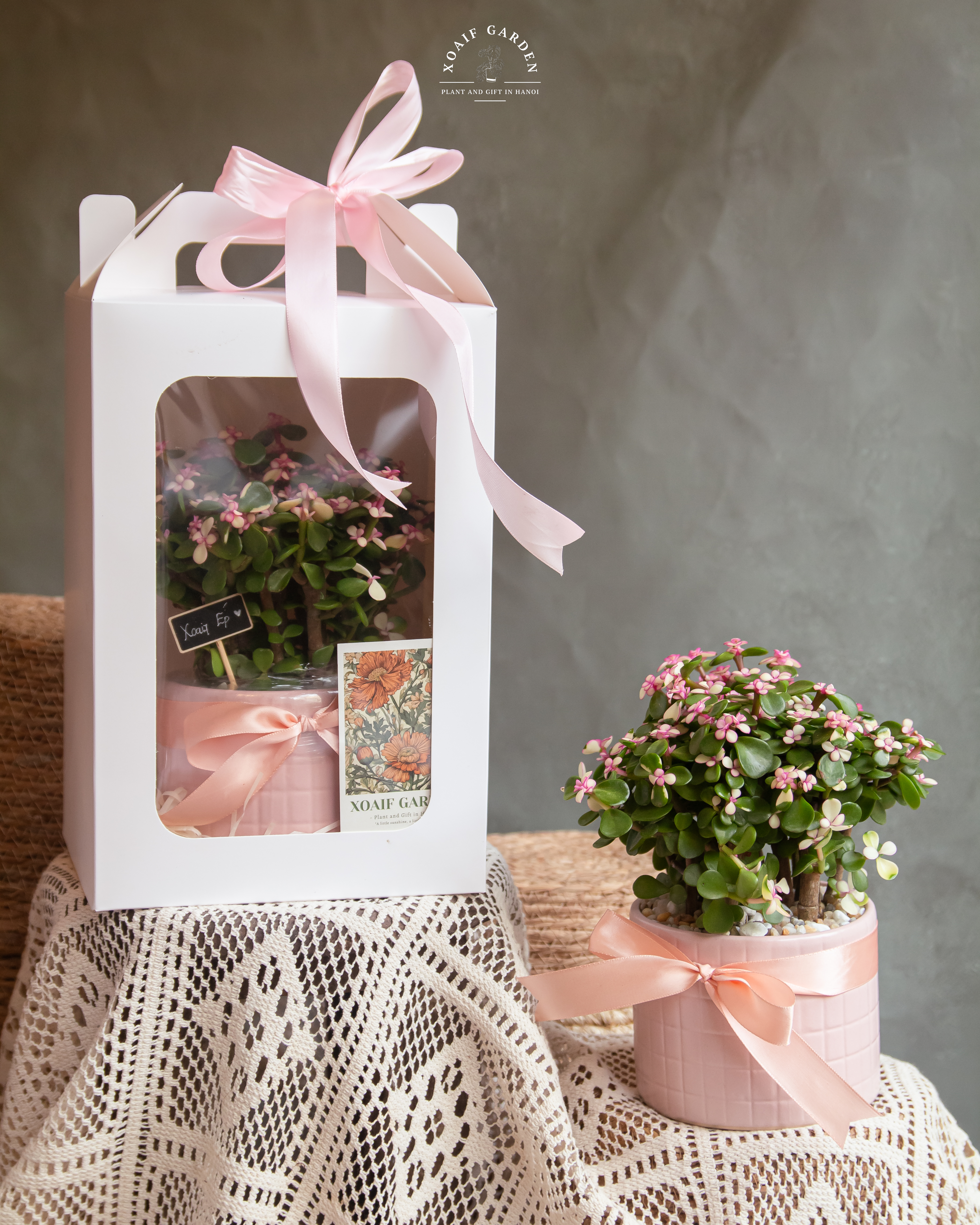 HỘP QUÀ NGỌC BÍCH HỒNG