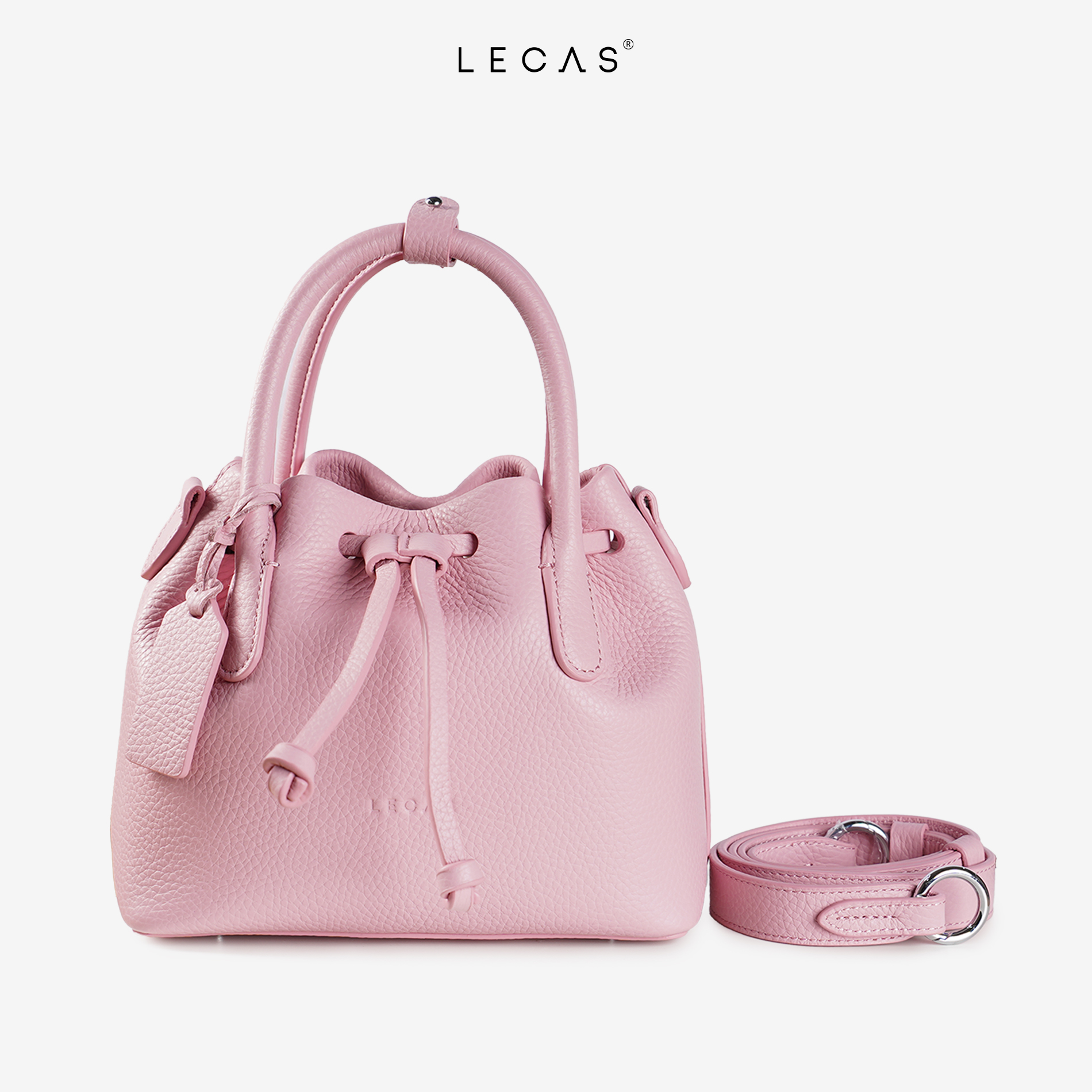 Cúc Nhí_thumbnail_2