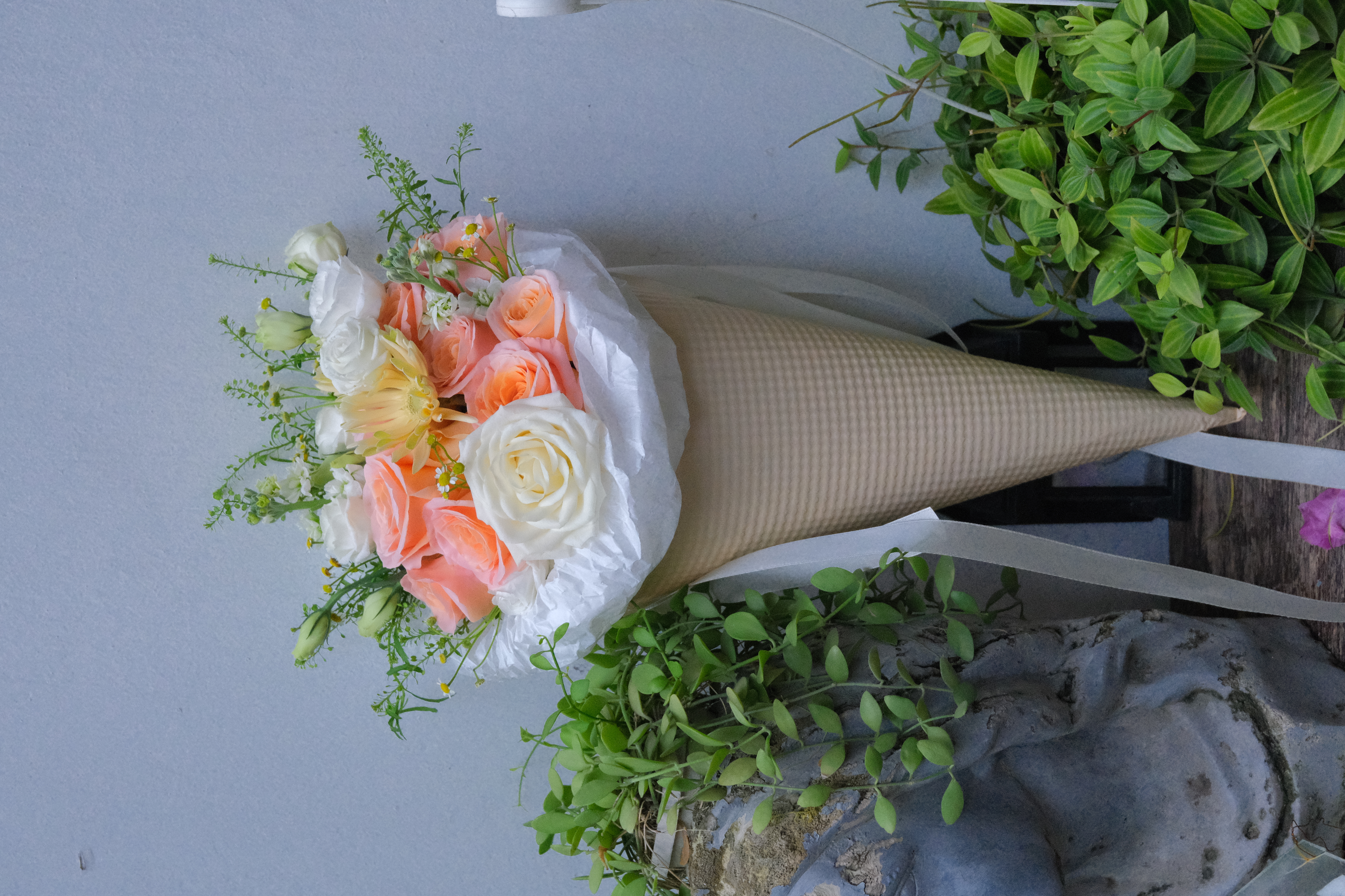 Ốc quế hoa Shimmer - Size S