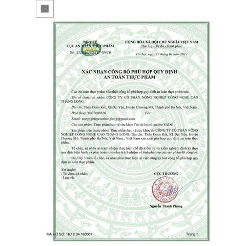 Trà cà gai leo đinh lăng_thumbnail_4