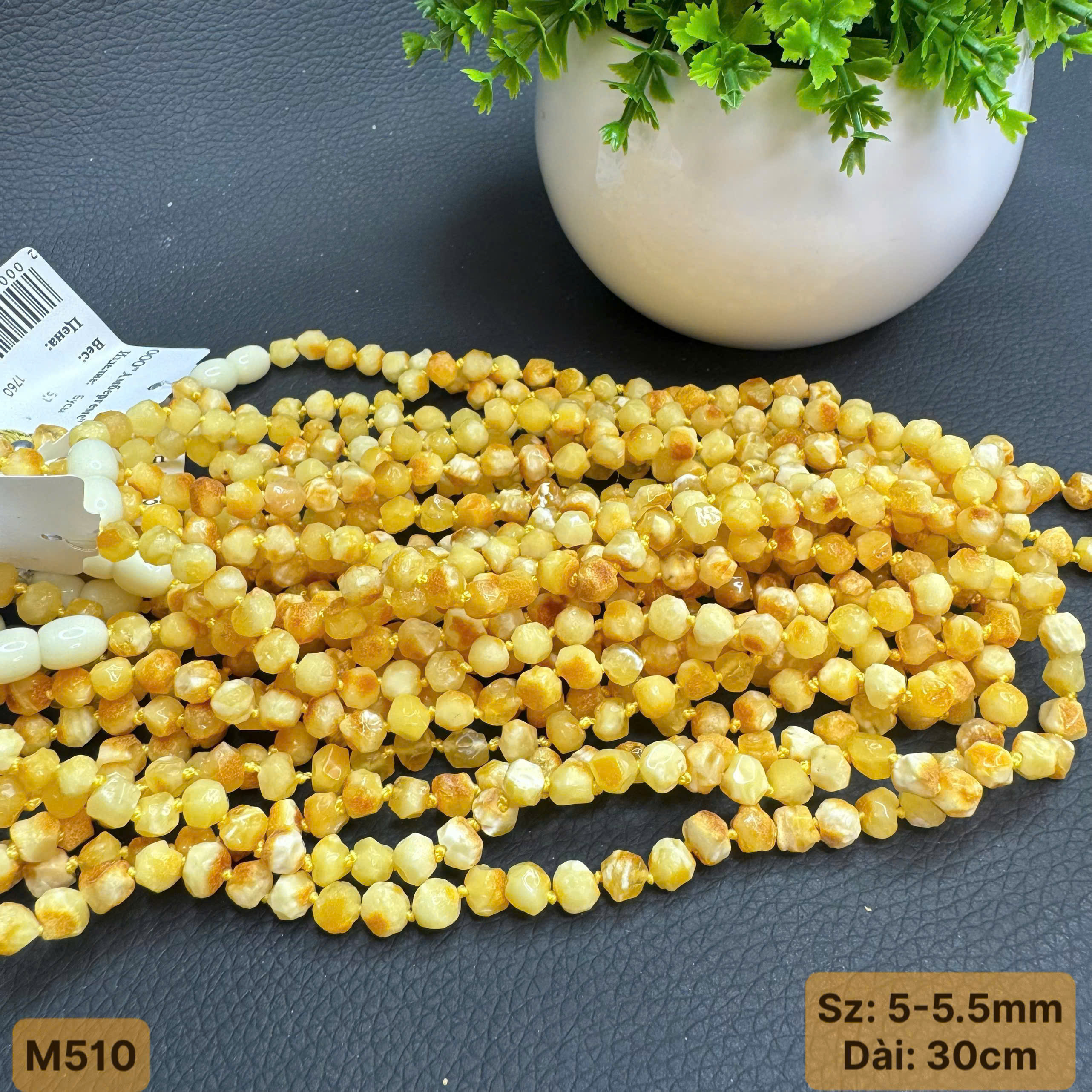 Chuỗi Cổ Thô Cắt Giác Trẻ Em - M510