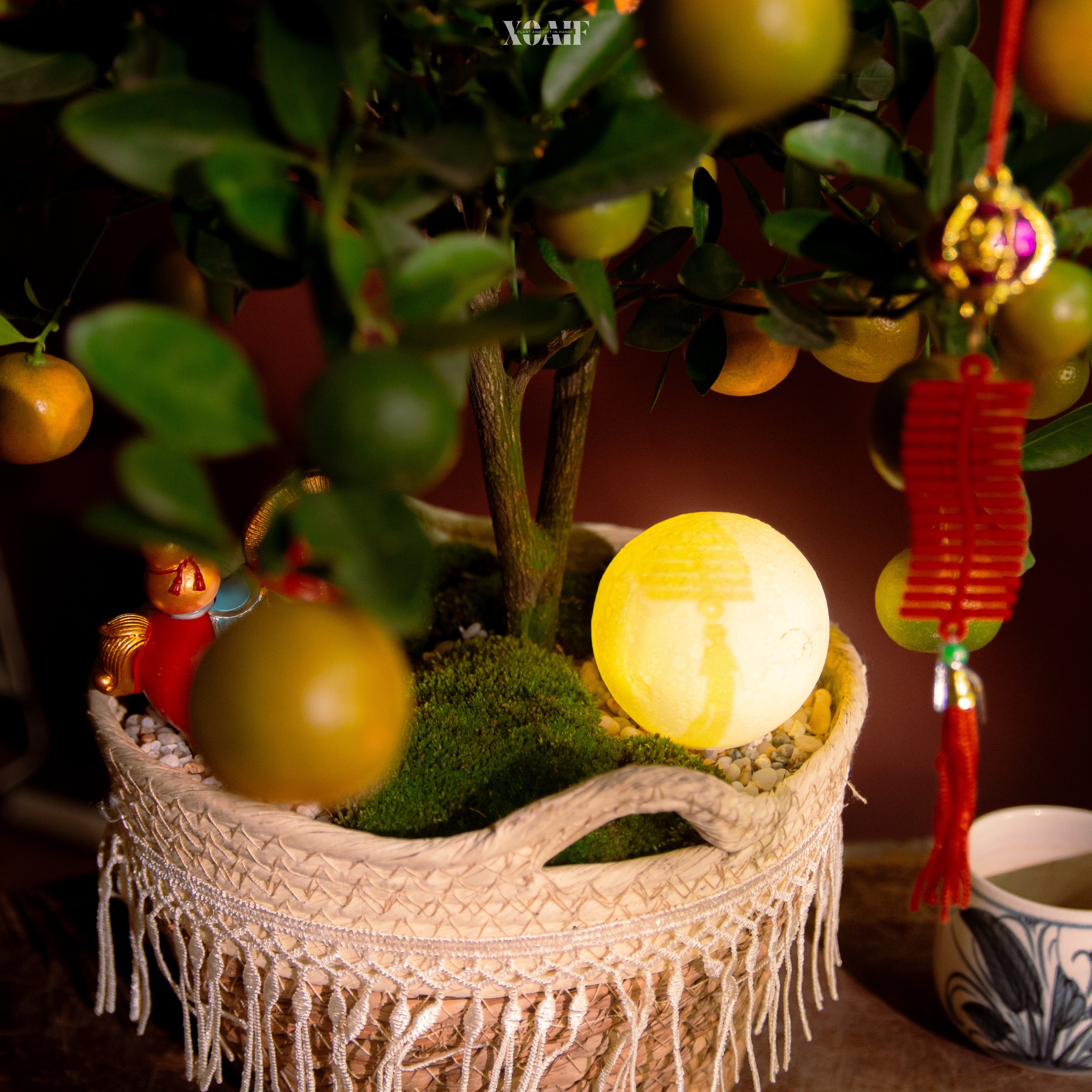 NGUYỆT HIÊN_thumbnail_3