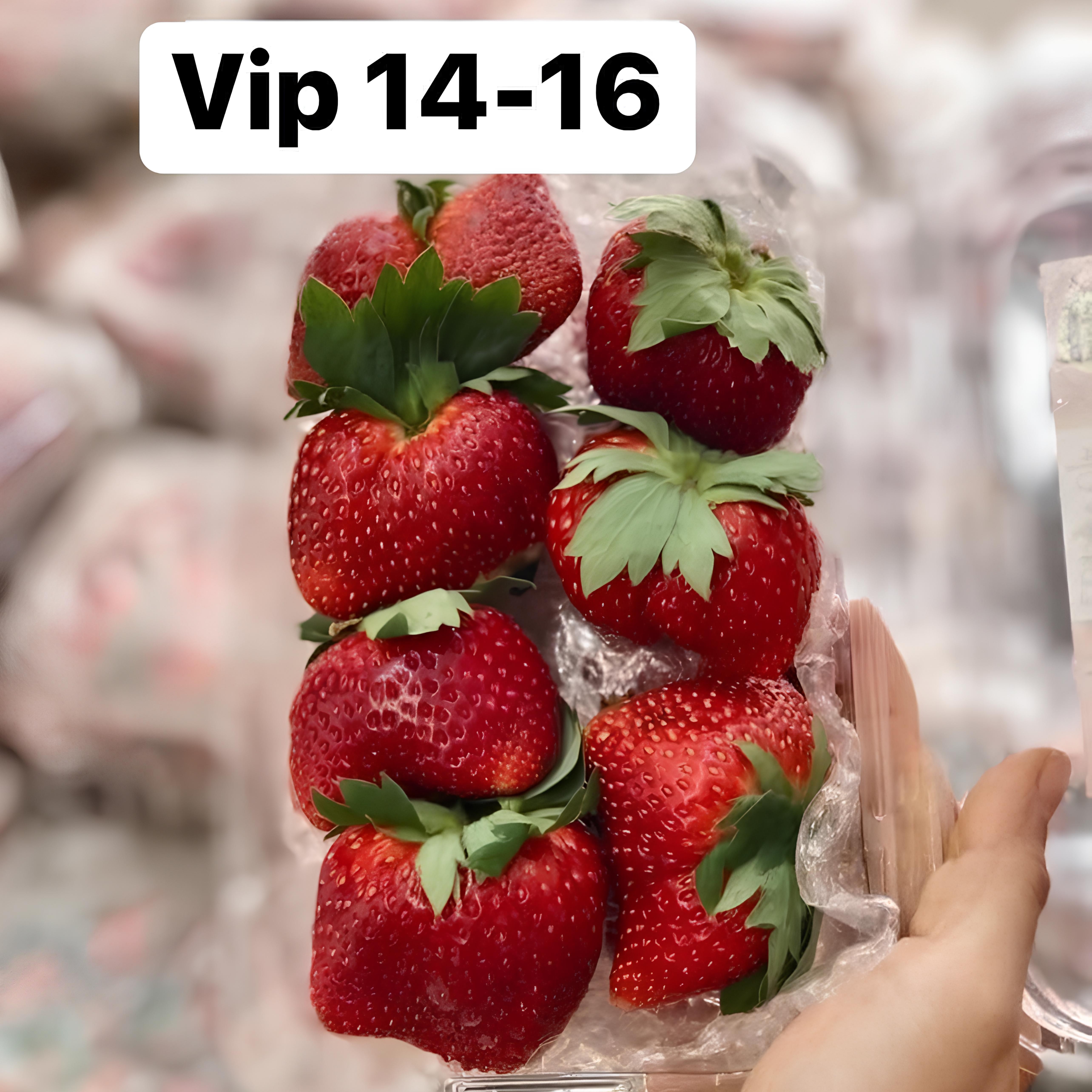 Dâu Hana Mộc Châu