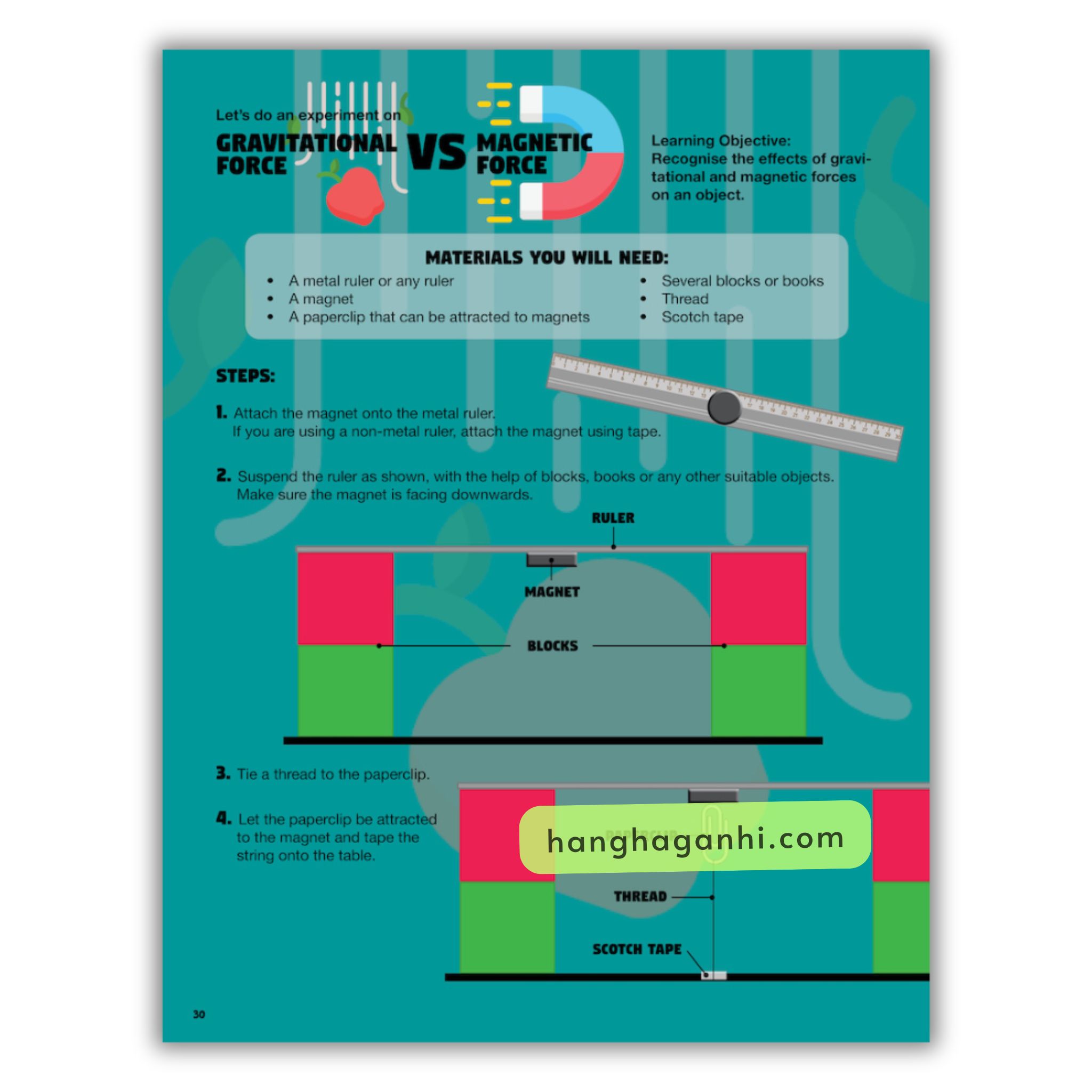 Steam Matters [Sách Nhập Khẩu] – Trọn Bộ 6 Cuốn Về Khoa Học, Công Nghệ, Nghệ Thuật, Toán Học, Sinh Vật, Môi Trường_thumbnail_11