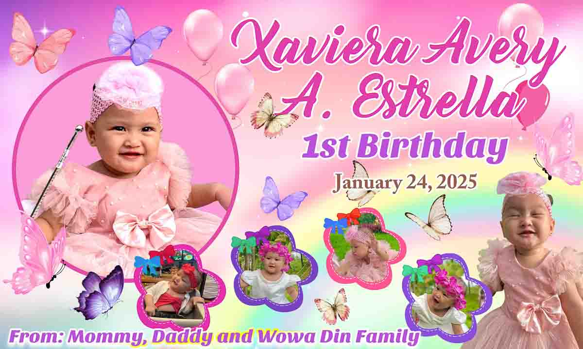 Butterfly Theme Birthday Tarp_thumbnail_2