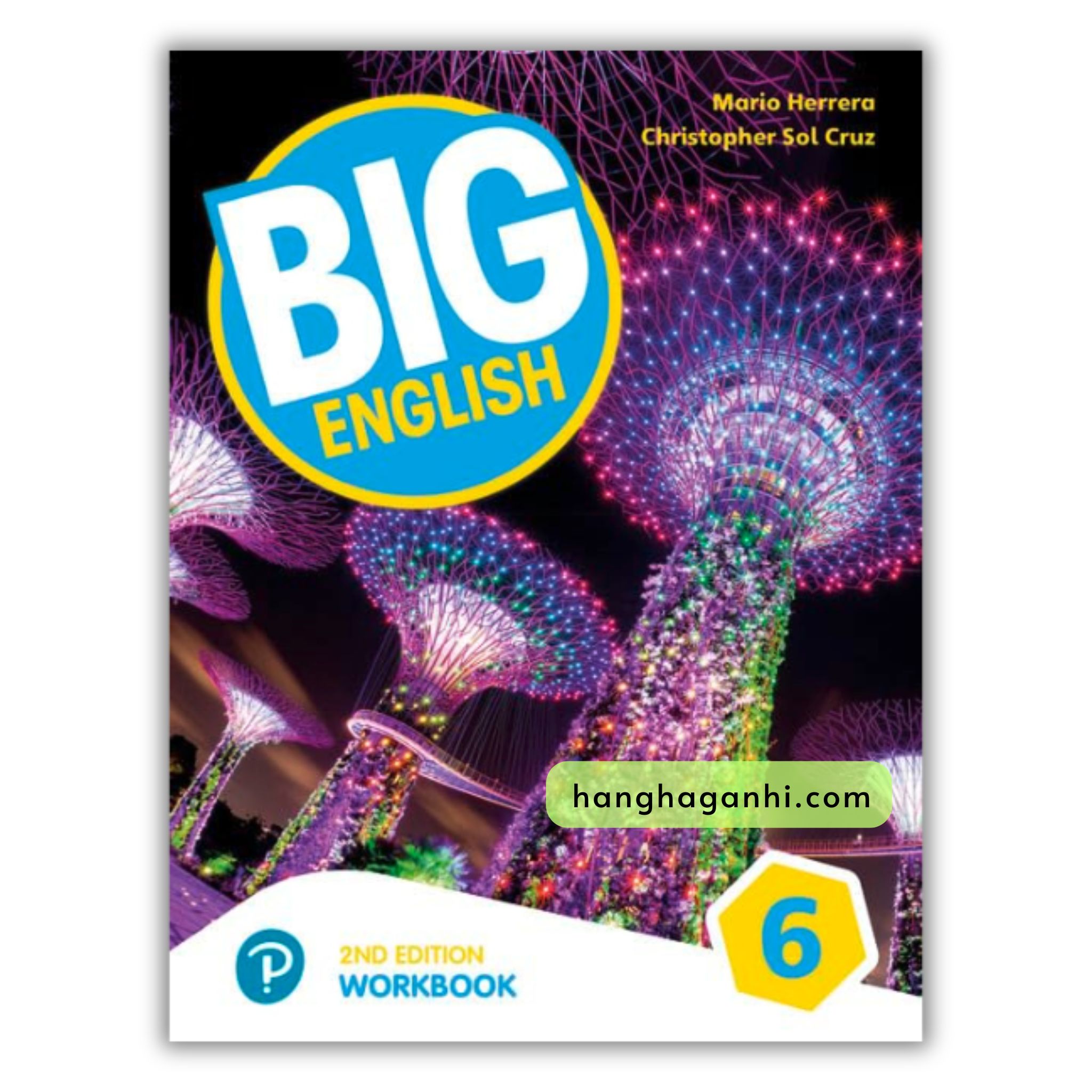 Big English 6 WORKBOOK 2nd Edition American English