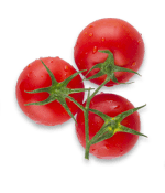 tomato_6