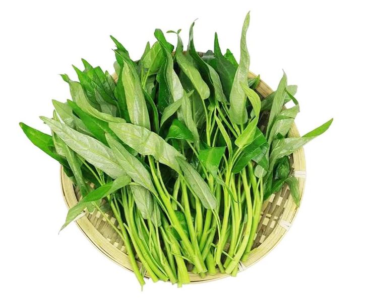 Water Spinach 