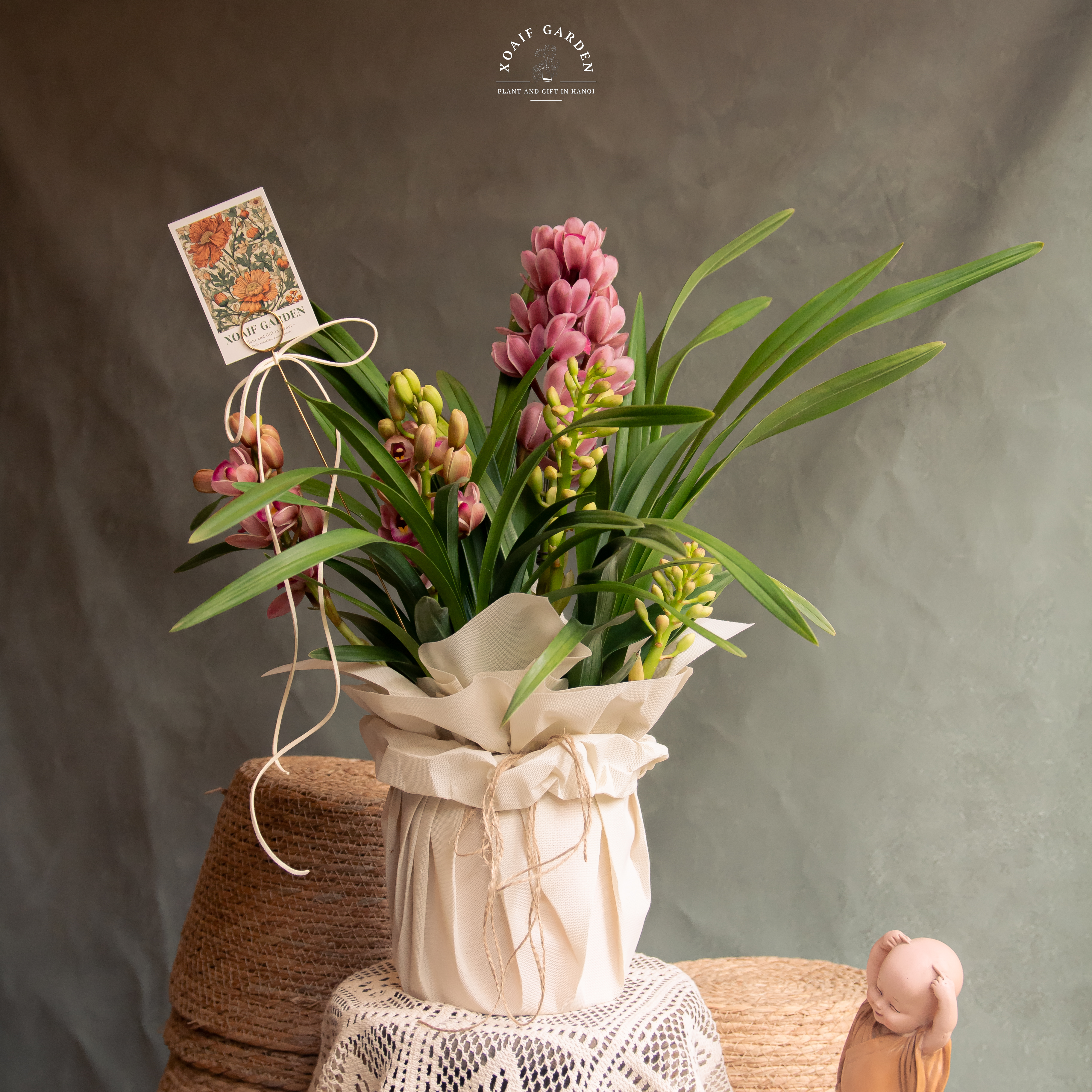 SET ĐỊA LAN CƠ BẢN VỚI GIẤY HOA