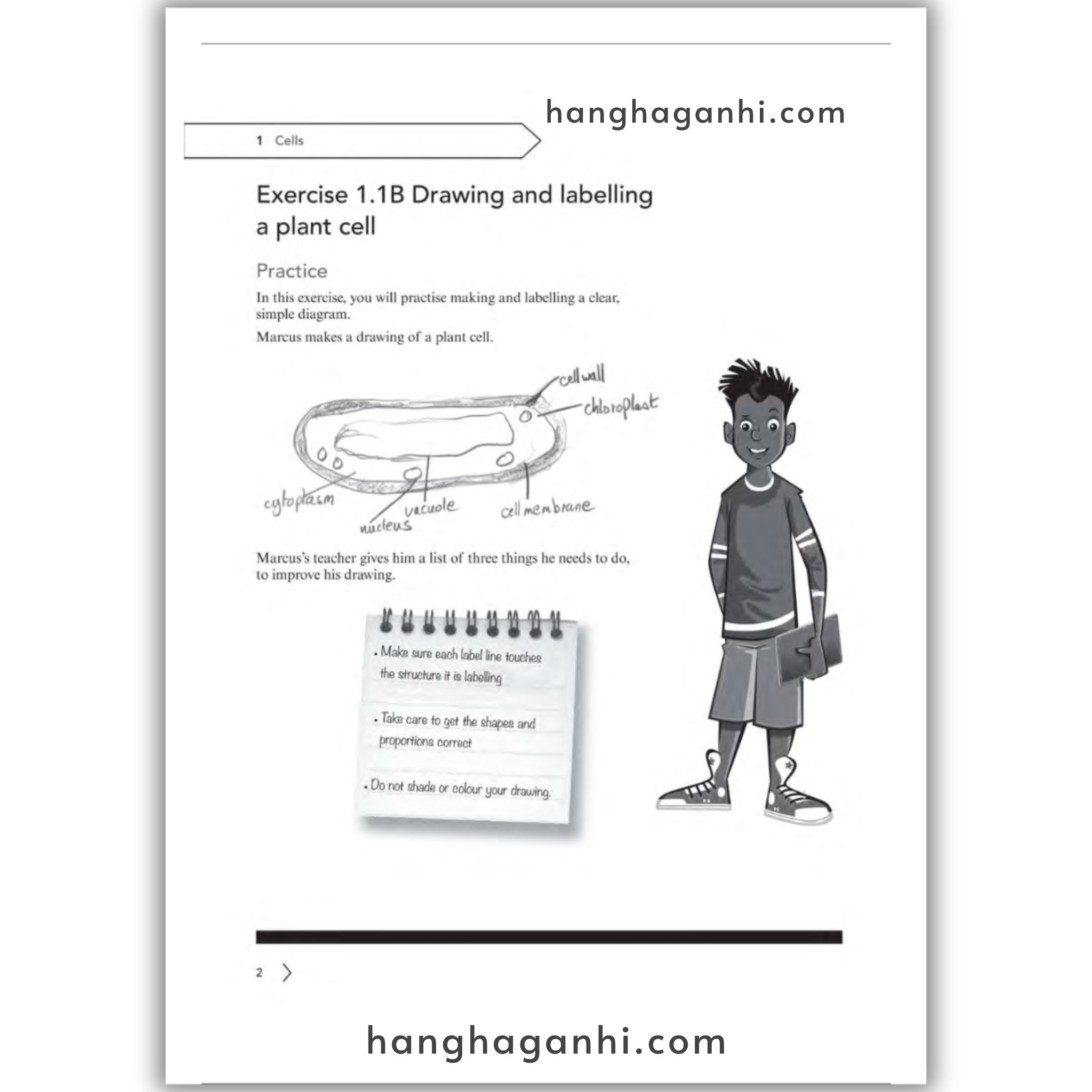 Cambridge Level 7 Lower Seconday Science Workbook 2nd Edition 2021_thumbnail_2