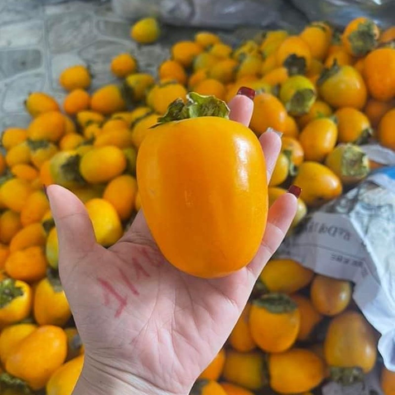 Hồng Giòn Quế Hương